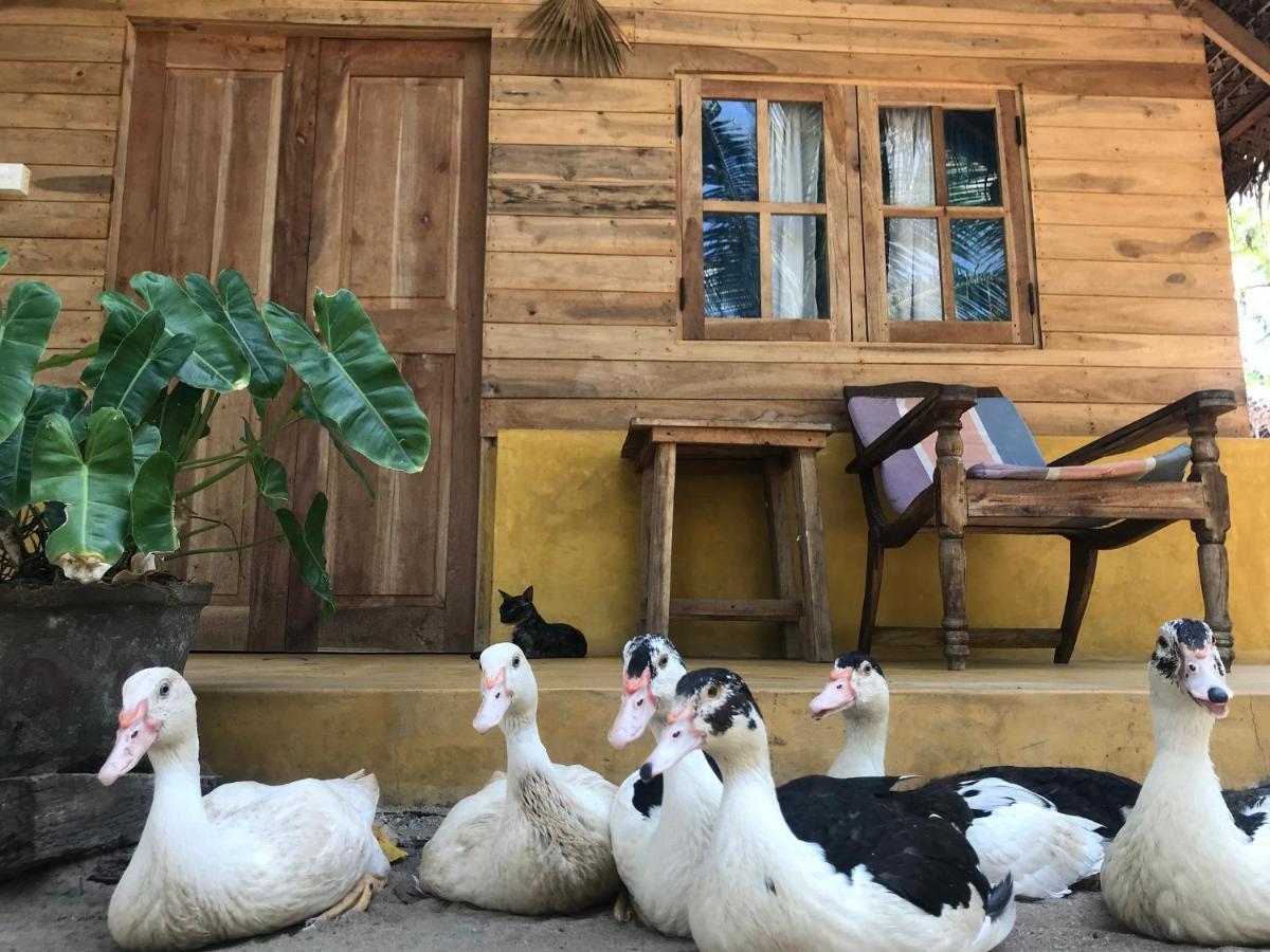 Margarita Village Kite School Калпития Экстерьер фото